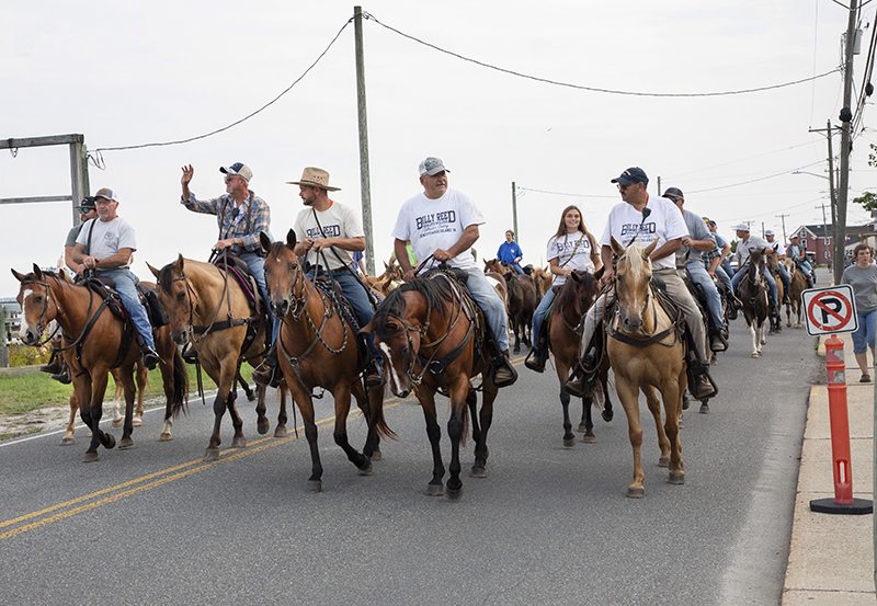 Chincoteague Wild Ponies : Richard Moore : Photographer : Photojournalist